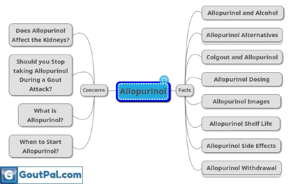 Allopurinol Facts and Concerns